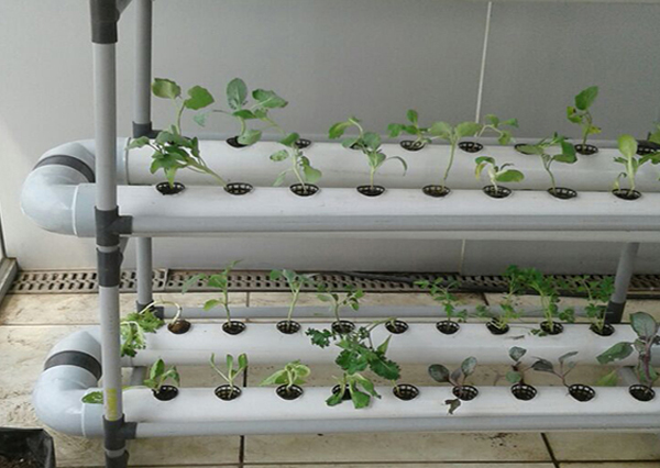 hydrophonic-unit2